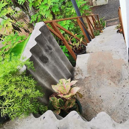 Nilupul Villa Ambalangoda  Exterior photo